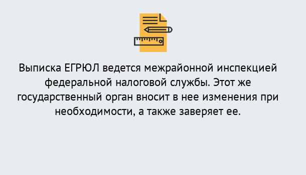 Почему нужно обратиться к нам? Зеленогорск Выписка ЕГРЮЛ в Зеленогорск ?