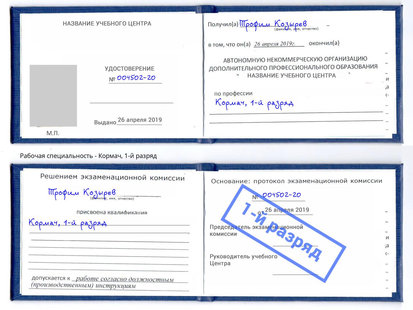 корочка 1-й разряд Кормач Зеленогорск