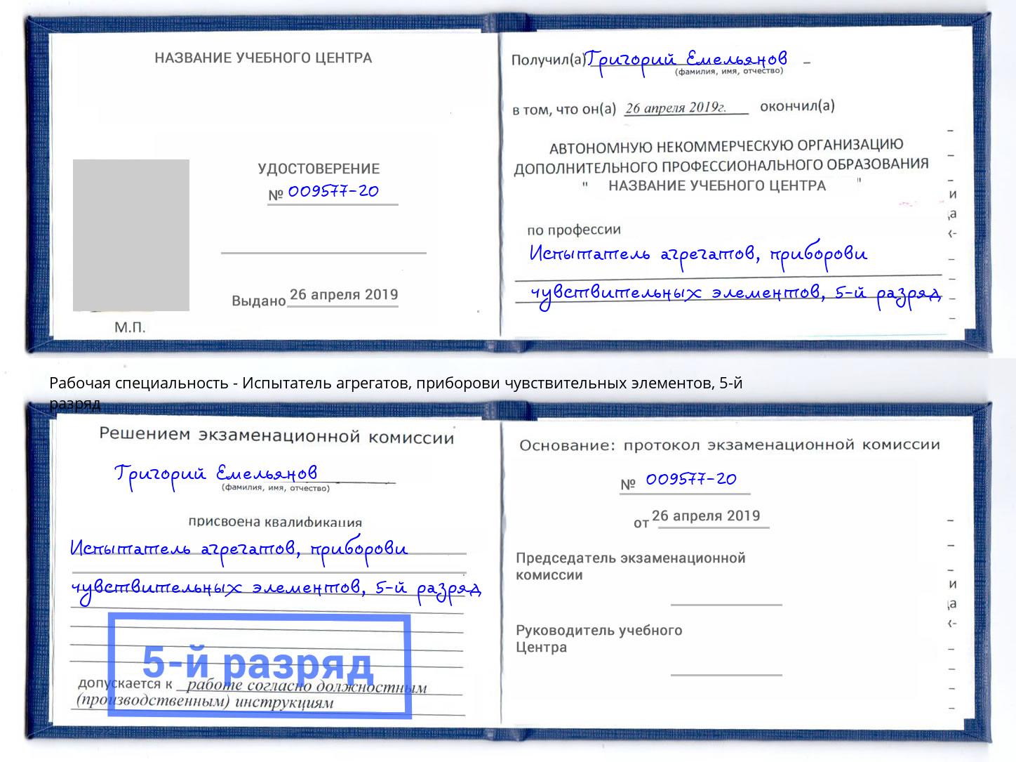корочка 5-й разряд Испытатель агрегатов, приборови чувствительных элементов Зеленогорск
