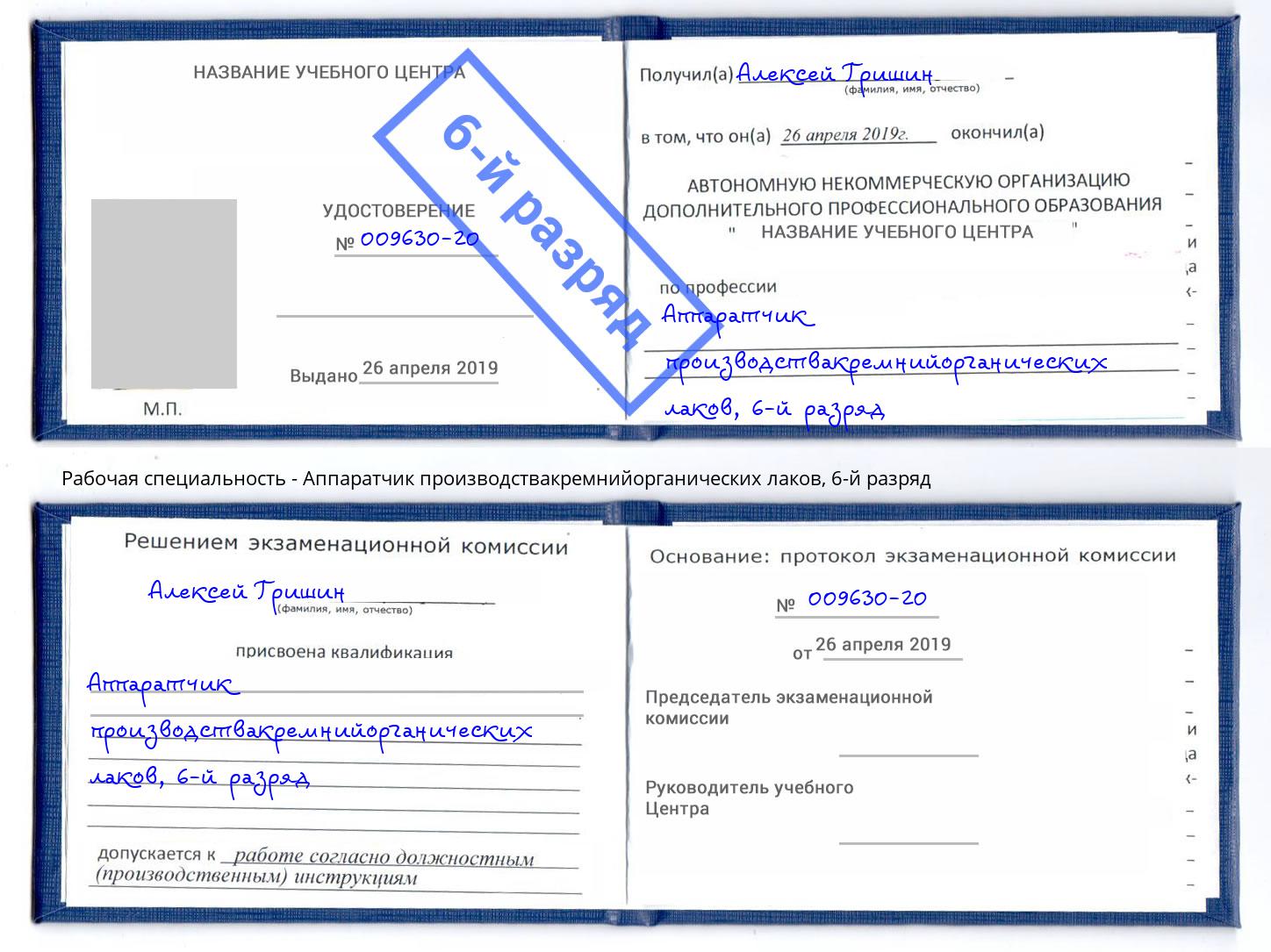 корочка 6-й разряд Аппаратчик производствакремнийорганических лаков Зеленогорск